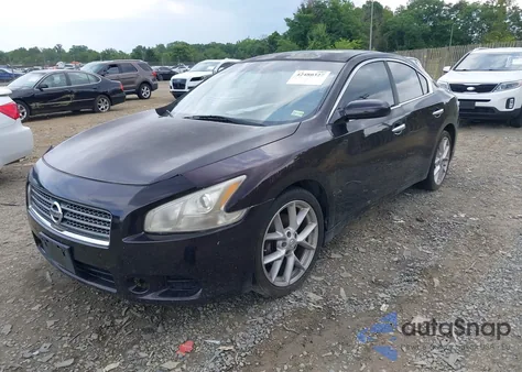2010 Nissan Maxima 3.5 S z USA, uszkodzony, nr VIN 1N4AA5AP1AC819485